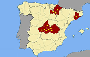 bases de gruas barragan en toda España